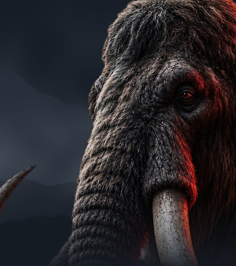 A woolly mammoth in a misty mountain landscape
